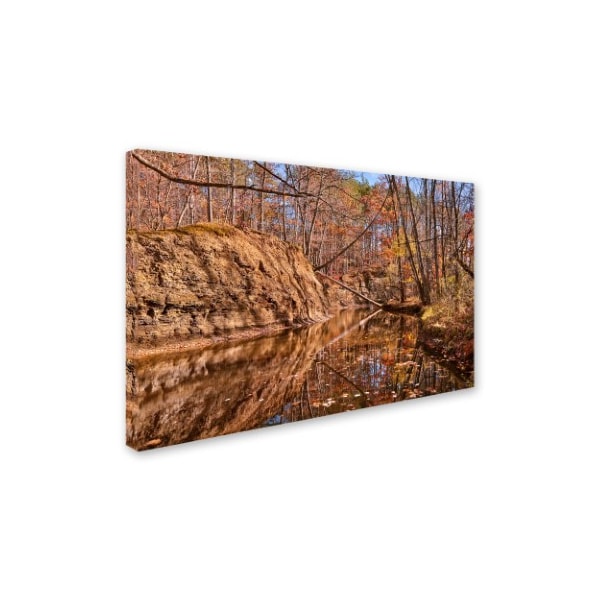 Jason Shaffer 'Beaver Creek 6' Canvas Art,12x19